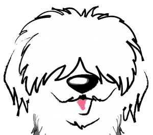 Cassie - My Bark Space Store